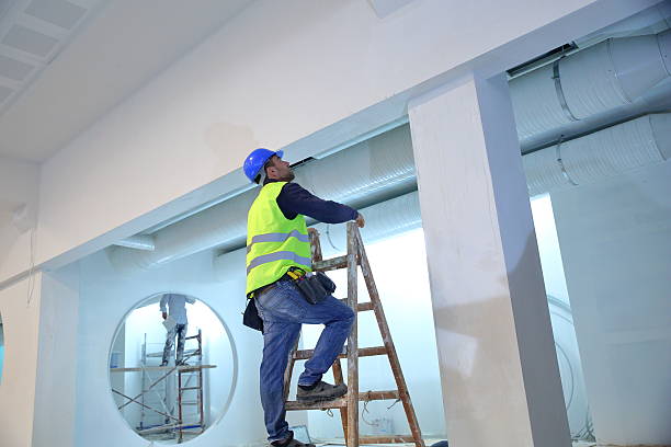 Best Touch-Up Painting Services  in Aiea, HI